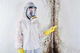 Best Asbestos and Lead Testing During Mold Inspection  in Prosperity, SC